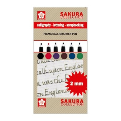 Fine art shop - Set 6 markers Pigma Calligrapher Pen 2mm Sakura | totenart.com