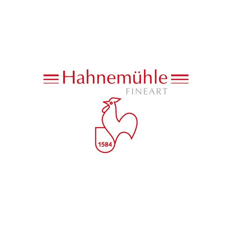 Fine art shop - Watercolour Hahnemuhle Britannia, 300 gr., 70x100 cm, Mate | totenart.com