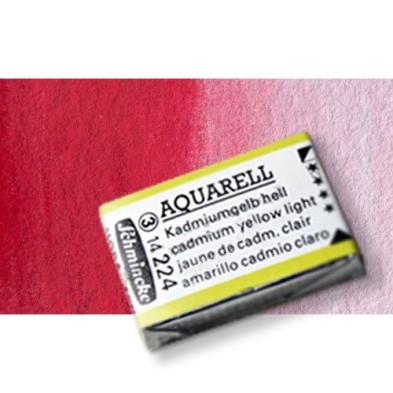 Fine art shop - Watercolour Schmincke Horadam, Permanent Carmine 353, Godet Complete. | totenart.com