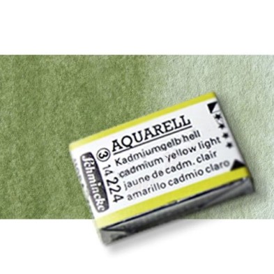 Fine art shop - Watercolour Schmincke Horadam, \nGreen Earth 516, Godet Complete. | totenart.com