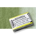 Fine art shop - Watercolour Schmincke Horadam, \nGreen Earth 516, Godet Complete. | totenart.com