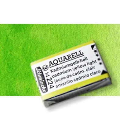 Fine art shop - Watercolour Schmincke Horadam, May Green 524, Godet Complete. | totenart.com