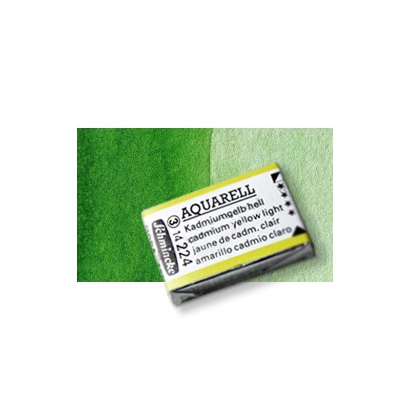 Fine art shop - Watercolour Schmincke Horadam, \nSap Green 530, Godet Complete. | totenart.com