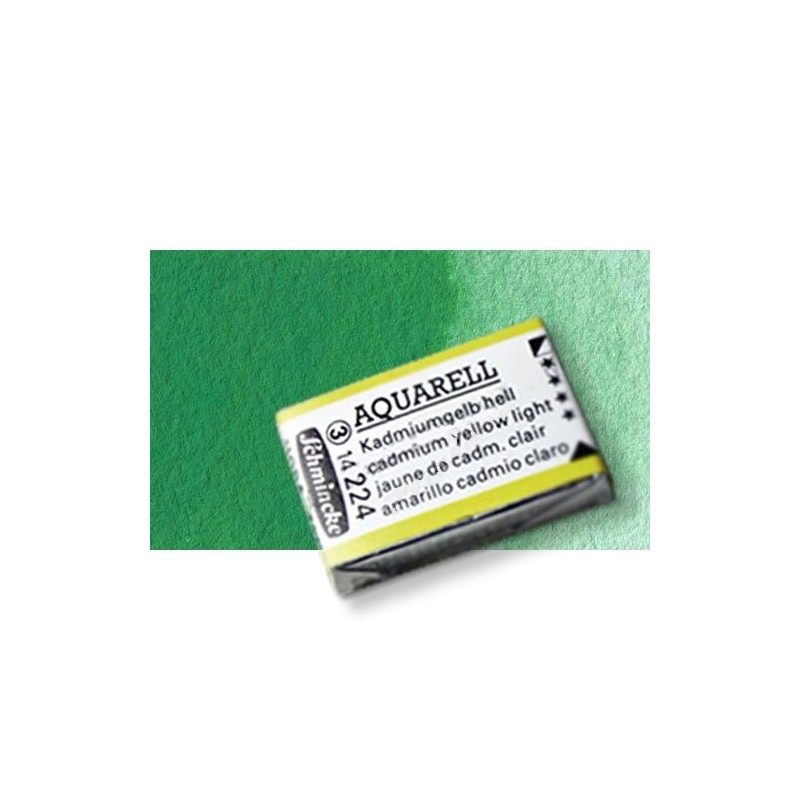 Fine art shop - Watercolour Schmincke Horadam, \nCobalt Green Pure 526, Godet Complete. | totenart.com