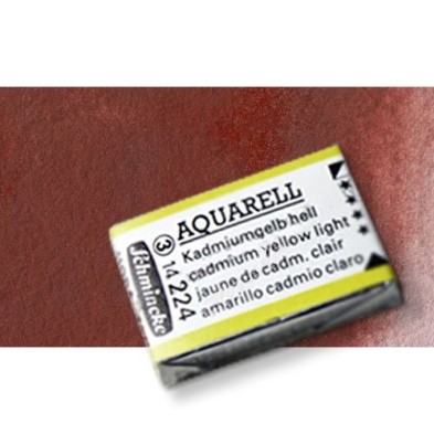 Fine art shop - Watercolour Schmincke Horadam, \nIndian Red 645,Godet Complete. | totenart.com