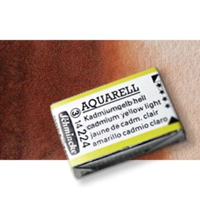 Fine art shop - Watercolour Schmincke Horadam, \nTransparent Brown 648, Godet Complete. | totenart.com