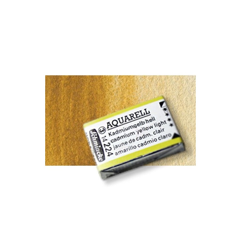 Fine art shop - Watercolour Schmincke Horadam, Natural Siena 660 ,Godet Complete. | totenart.com