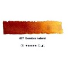 Fine art shop - Watercolour Schmincke Horadam, Raw Umber 667, Godet Complete. | totenart.com