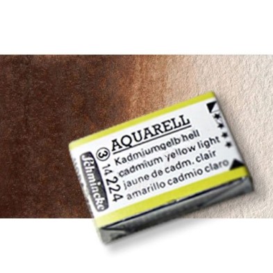 Fine art shop - Watercolour Schmincke Horadam, Burnt Umber 668, Godet Complete. | totenart.com