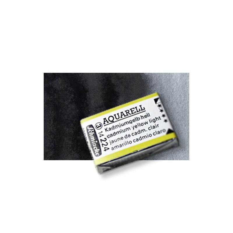 Fine art shop - Watercolour Schmincke Horadam, Payne Gray Schmincke 783,Godet Complete. | totenart.com