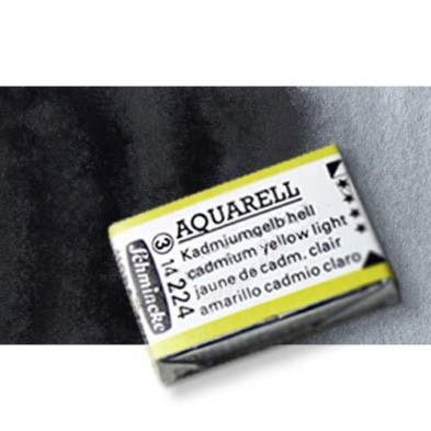 Fine art shop - Watercolour Schmincke Horadam, Payne Gray Schmincke 783,Godet Complete. | totenart.com