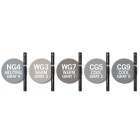 Fine art shop - Marker Case Chameleon, 5 Gray Colors | totenart.com