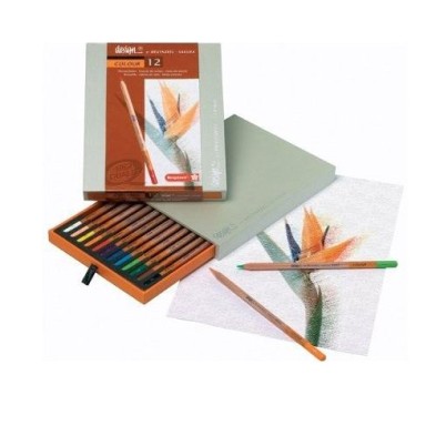  Fine art shop - 12 color pencil case Sakura Bruynzeel | totenart.com