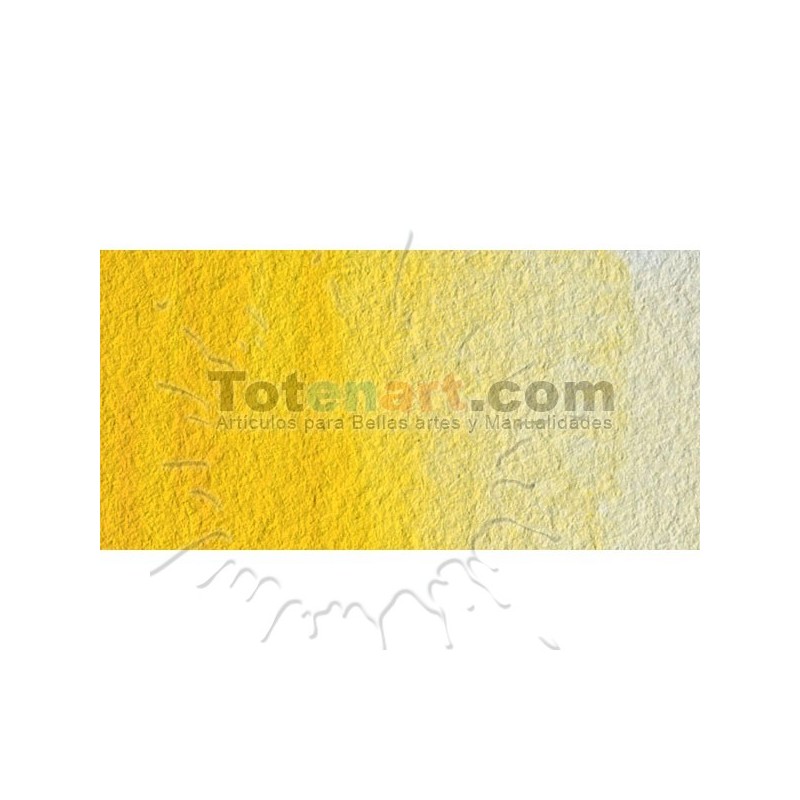 Fine art shop - Watercolour W&N, 1/2 godet, Cadmium Yellow | totenart.com