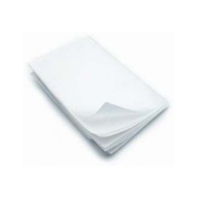 Parchment, 64x88 cm., 40 gr.