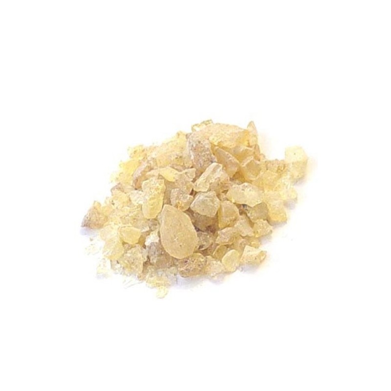 Fine art shop - Dammar Resin Pieces, 250 gr. | totenart.com