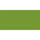 Fine art shop - Polychrome pencil Faber Castell land green beige 168 | totenart.com