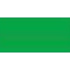 Fine art shop - Polychrome pencil Faber Castell permanent green 266 | totenart.com