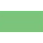 Fine art shop - Polychrome pencil Faber Castell green grass 166 | totenart.com