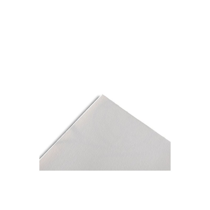 Papel Illustration Canson 50x65 cm., 250 gr.