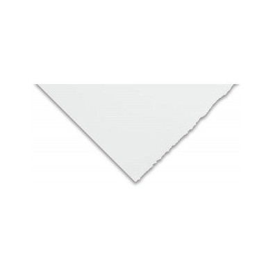 Canson Edition 250 gr., 76x112 cm., Extra White
