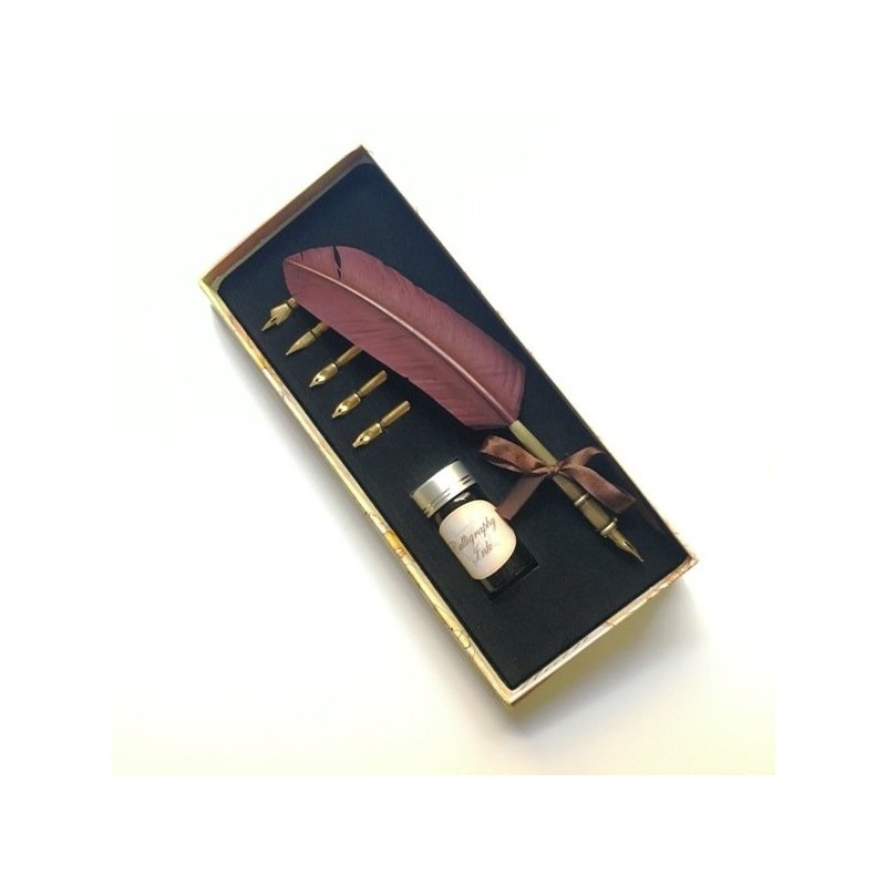 Box set with pen, ink and 5 pens