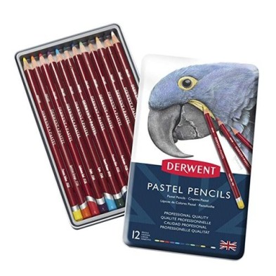  Fine art shop - Pastel pencils Metal box Derwent 12 uds.  | totenart.com