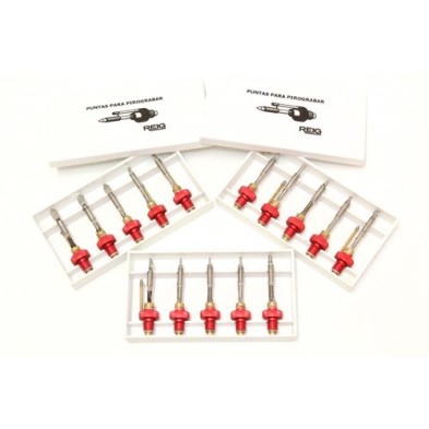 Fine art shop - Set 15 pyrography points | totenart.com