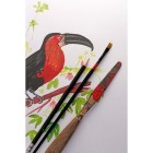  Fine art shop - Multi Technique Pad Paint On A3, 250 gr. 40 h. Clairefontaine | totenart.com