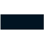 Fine art shop - Liquid Watercolour Talens Black, 30 ml. | totenart.com