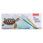  Fine art shop - Colour Pencils Metal Box Bruynzeel 45 uds. | totenart.com