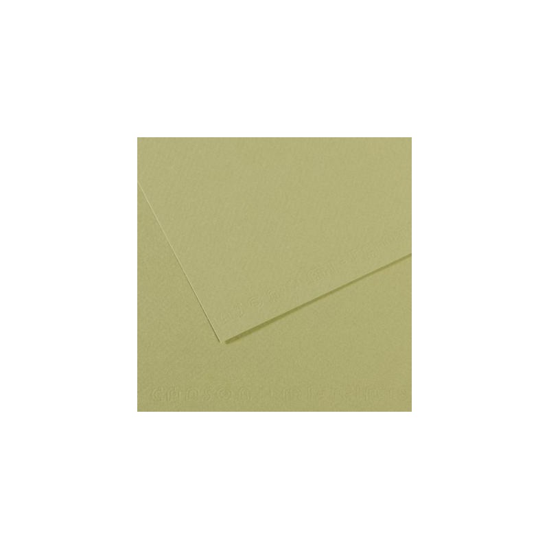  Fine art shop - Mi-teintes Canson Light Green, 160 gr., 50x65 cm. | totenart.com