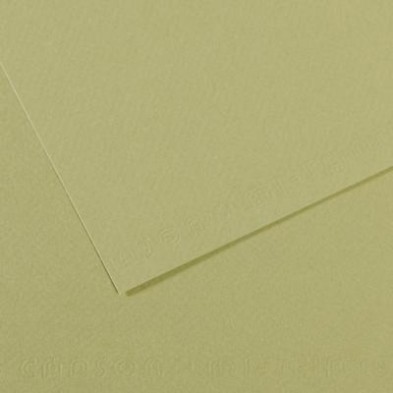  Fine art shop - Mi-teintes Canson Light Green, 160 gr., 50x65 cm. | totenart.com
