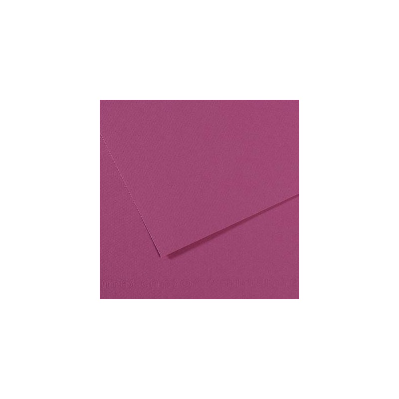  Fine art shop - Mi-teintes Canson Violet, 160 gr., 50x65 cm. | totenart.com