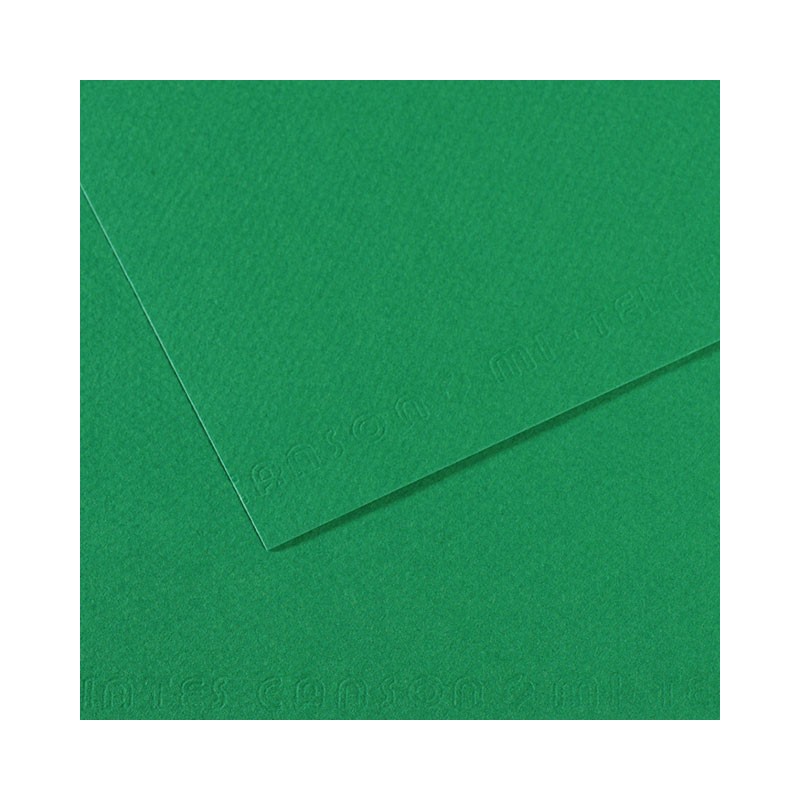  Fine art shop - Mi-teintes Canson Viridian, 160 gr., 50x65 cm. | totenart.com