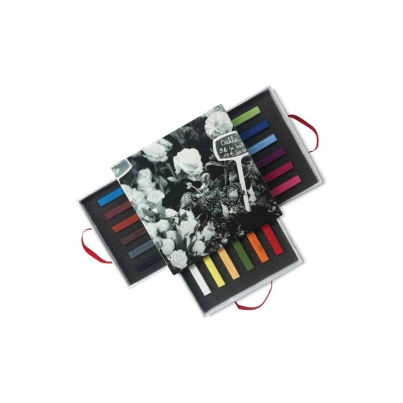 18 Assorted Conte Carre crayons