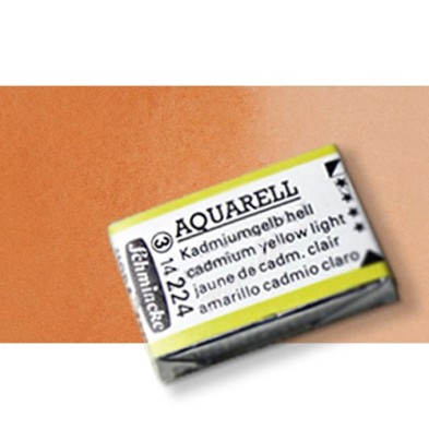 Fine art shop - Watercolour Schmincke Horadam, Transparent Siena 653, Godet Complete. | totenart.com