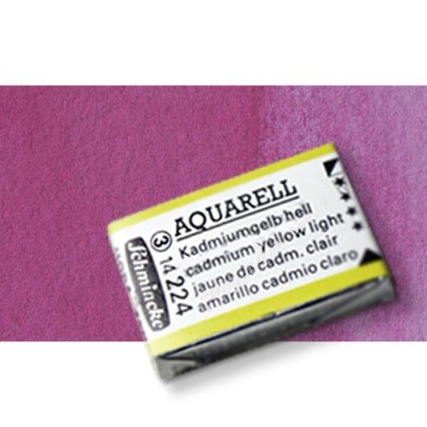 Fine art shop - Watercolour Schmincke Horadam, Quinacridone Violet 368, Godet Complete. | totenart.com