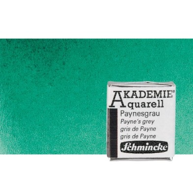 Fine art shop - Watercolour Schmincke Akademie, Brilliant Green 551, 1/2 Godet. | totenart.com