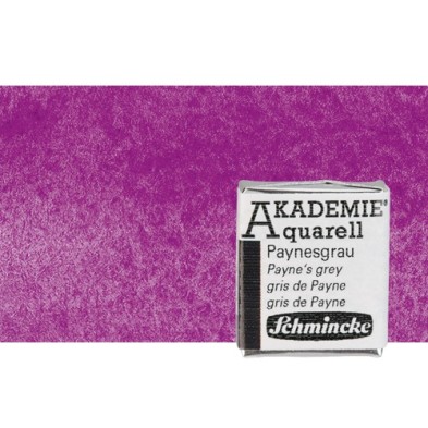 Fine art shop - Watercolour Schmincke Akademie, Violet 440, 1/2 Godet. | totenart.com