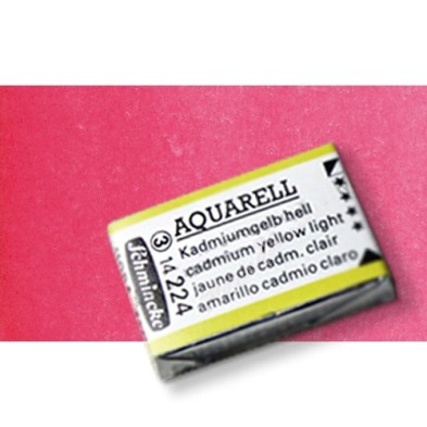 Fine art shop - Watercolour Schmincke Horadam, \nRuby Red 351, Godet Complete. | totenart.com