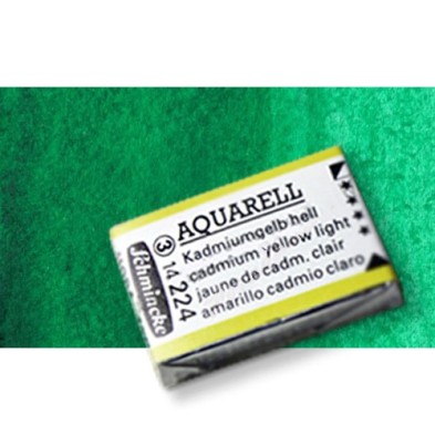 Fine art shop - Watercolour Schmincke Horadam, \nHelio Green 514, Godet Complete. | totenart.com