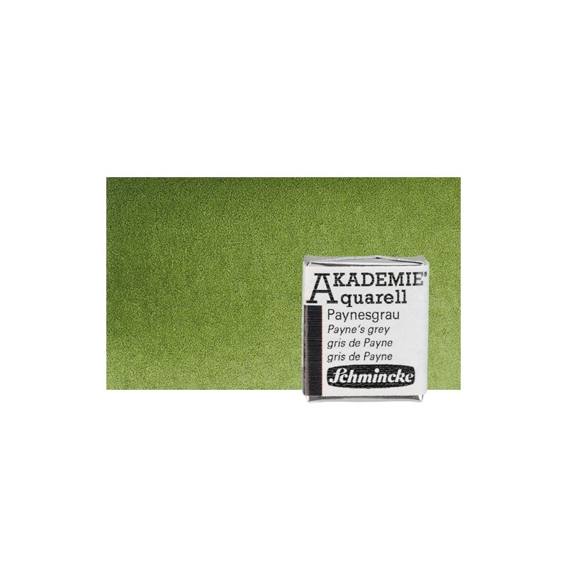 Fine art shop - Watercolour Schmincke Akademie, Olive Green 554, 1/2 Godet. | totenart.com