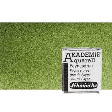 Fine art shop - Watercolour Schmincke Akademie, Olive Green 554, 1/2 Godet. | totenart.com