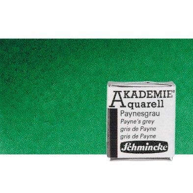 Fine art shop - Watercolour Schmincke Akademie, Permanent Green 553, 1/2 Godet. | totenart.com