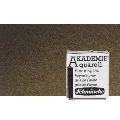 Fine art shop - Watercolour Schmincke Akademie, Sepia 665, 1/2 Godet. | totenart.com