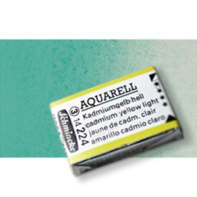 Fine art shop - Watercolour Schmincke Horadam, \nViridian 513, Godet Complete. | totenart.com