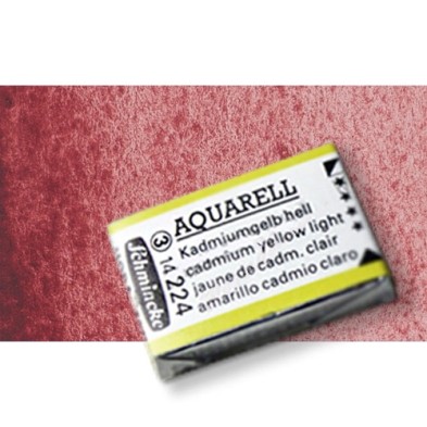 Fine art shop - Watercolour Schmincke Horadam,\n Potter Pink  370, Godet Complete. | totenart.com