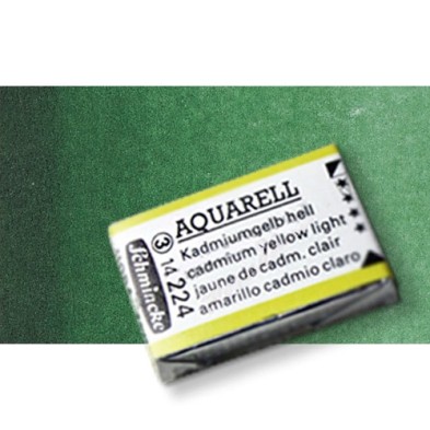 Fine art shop - Watercolour Schmincke Horadam, \nOlive Green 515, Godet Complete. | totenart.com