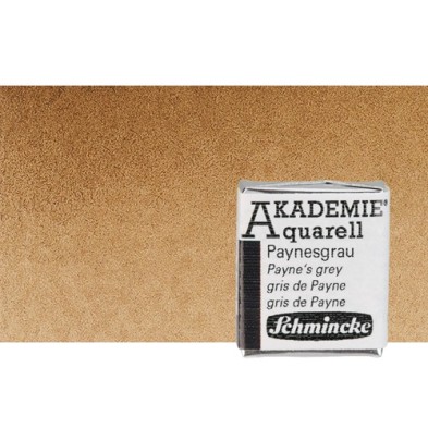 Fine art shop - Watercolour Schmincke Akademie, Burnt Umber 664, 1/2 Godet. | totenart.com